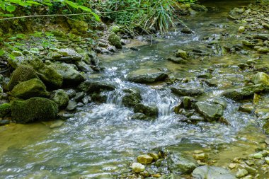 Bir dağ nehrinin yatağında bir yolculuk, bir yaz günü, sığ bir taban ve taşlar güneş ışığında ısınıyor..