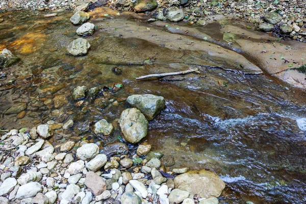 Подорож Уздовж Ліжка Гірської Річки Літній День Дрібне Дно Каміння — стокове фото