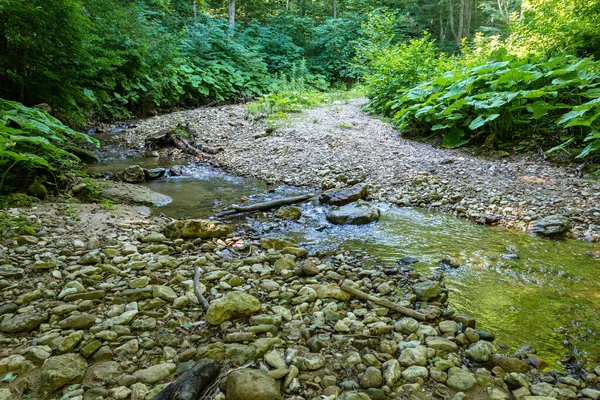 Viaje Largo Del Lecho Río Montaña Día Verano Fondo Poco — Foto de Stock