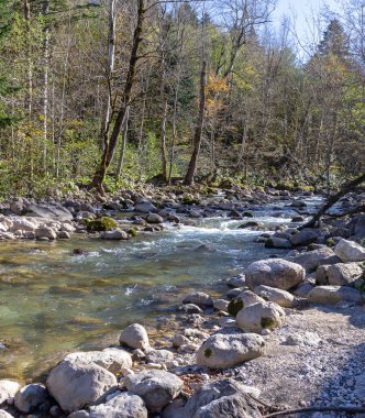 Bir dağ nehrinde sonbahar sabahı, berrak suyu olan sığ bir nehir yatağı ve kayalık zemini aydınlatan güneş ışınları..
