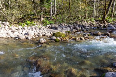 Bir dağ nehrinde sonbahar sabahı, berrak suyu olan sığ bir nehir yatağı ve kayalık zemini aydınlatan güneş ışınları..