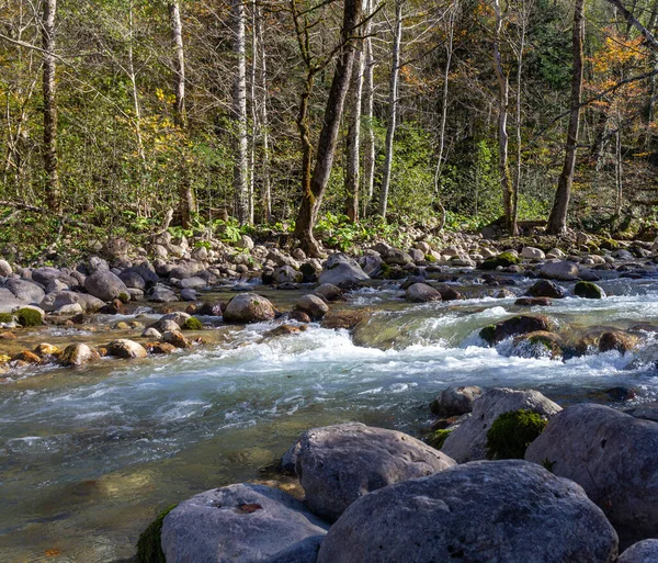 Bir dağ nehrinde sonbahar sabahı, berrak suyu olan sığ bir nehir yatağı ve kayalık zemini aydınlatan güneş ışınları..