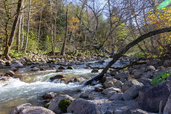 Осінній Ранок Гірській Річці Мілководдя Чистою Водою Променями Сонця Освітлює — стокове фото