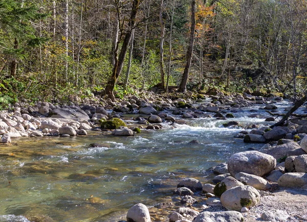 Осінній Ранок Гірській Річці Мілководдя Чистою Водою Променями Сонця Освітлює — стокове фото