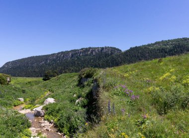 Dağ nehirleri, gezegendeki ekolojik temiz su kaynakları, güneşli bir sonbahar sabahı..
