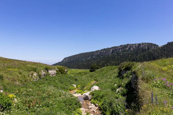 Dağ nehirleri, gezegendeki ekolojik temiz su kaynakları, güneşli bir sonbahar sabahı..