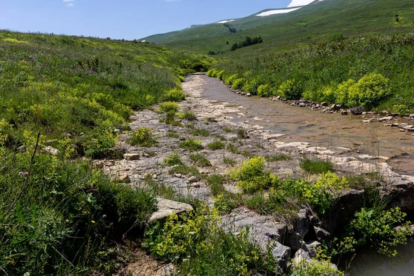 Ríos Montaña Fuentes Recursos Ecológicamente Limpios Reservas Agua Planeta Soleada —  Fotos de Stock