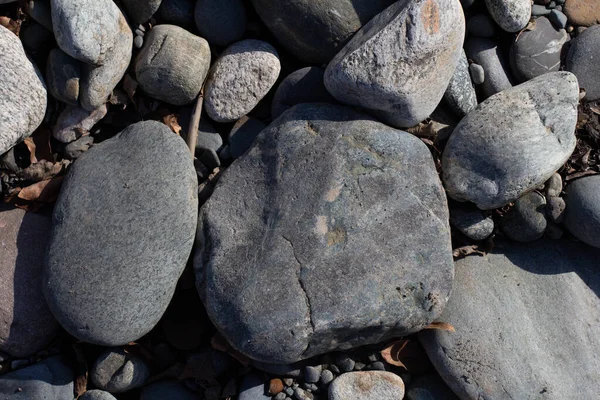 Herfst Ondiepe Stenige Arenaceous Bodem Van Een Berg Rivier Stralen — Stockfoto