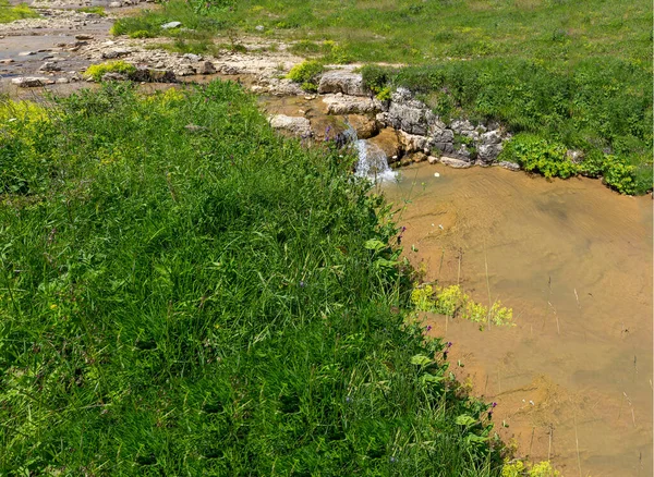 Подорож Уздовж Ліжка Гірської Річки Літній День Дрібне Дно Камені — стокове фото