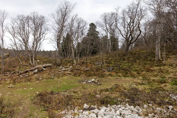 Herbst Natürlicher Bergpark Wald Straße Spaziergang Panorama Gelände Aussichtspunkte Sonnenlicht — Stockfoto