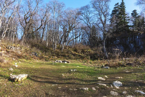 Höst Naturlig Bergspark Skog Väg Promenad Panorama Terräng Natursköna Platser — Stockfoto