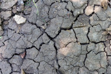 Kuru çatlak toprak, kurak mevsimde nem eksikliği, kurumuş bitki örtüsü..