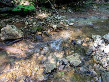 Bir dağ nehrinin yatağı boyunca bir yaz günü, sığ bir taban ve taşlar güneş ışığında ısınıyor, doğa sonbahar dönemi için hazırlanıyor. .