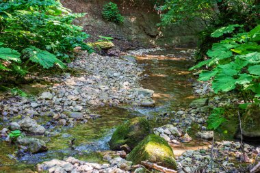 Bir dağ nehrinin yatağı boyunca bir yaz günü, sığ bir taban ve taşlar güneş ışığında ısınıyor, doğa sonbahar dönemi için hazırlanıyor. .