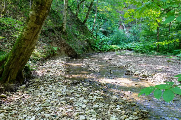 Eine Reise Entlang Des Flussbettes Ein Sommertag Ein Flacher Boden — Stockfoto