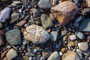 Bir sonbahar günü, bir dağ nehrinin yatağı boyunca bir yolculuk sığ bir taban ve taşlar güneş ışığında ısınıyor, doğa kışa hazırlanıyor..