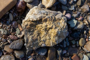 Bir sonbahar günü, bir dağ nehrinin yatağı boyunca bir yolculuk sığ bir taban ve taşlar güneş ışığında ısınıyor, doğa kışa hazırlanıyor..