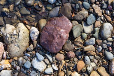 Bir sonbahar günü, bir dağ nehrinin yatağı boyunca bir yolculuk sığ bir taban ve taşlar güneş ışığında ısınıyor, doğa kışa hazırlanıyor..