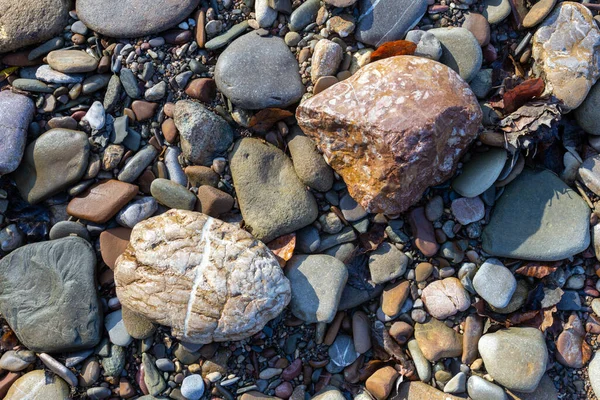 Journey Bed Mountain River Autumn Day Shallow Bottom Stones Warming — Stock Photo, Image