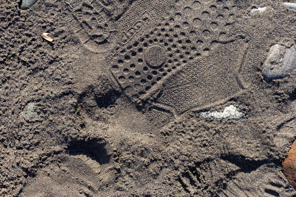 Een Tocht Langs Bedding Van Een Bergrivier Een Herfstdag Een — Stockfoto