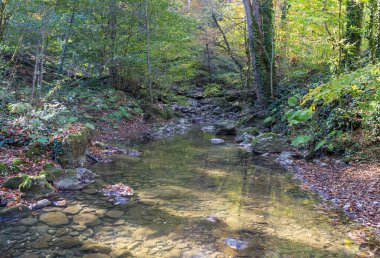 Bir sonbahar günü, bir dağ nehrinin yatağı boyunca bir yolculuk sığ bir taban ve taşlar güneş ışığında ısınıyor, doğa kışa hazırlanıyor..