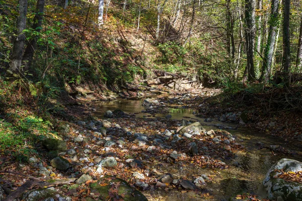 Journey Bed Mountain River Autumn Day Shallow Bottom Stones Warming — Stock Photo, Image