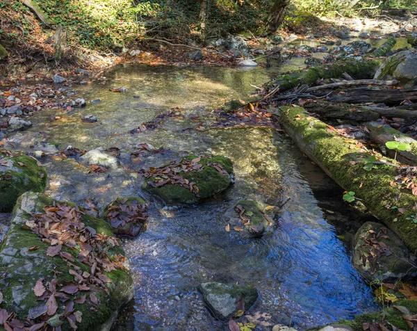 Bir sonbahar günü, bir dağ nehrinin yatağı boyunca bir yolculuk sığ bir taban ve taşlar güneş ışığında ısınıyor, doğa kışa hazırlanıyor..