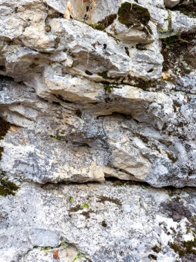 Dağlık bir bölgede, sonbahar, bulutlu bir günde, taştan bir plato..