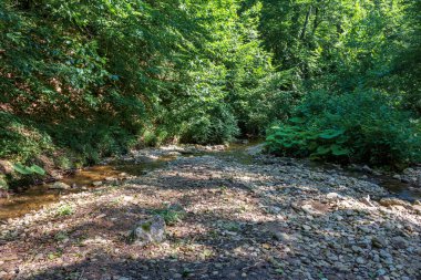 Bir dağ nehrinin yatağında bir yolculuk, bir yaz günü, sığ bir taban ve taşlar güneş ışığında ısınıyor..
