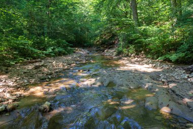 Bir dağ nehrinin yatağında bir yolculuk, bir yaz günü, sığ bir taban ve taşlar güneş ışığında ısınıyor..