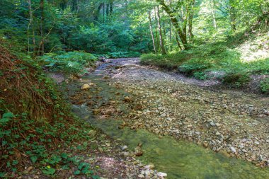 Bir dağ nehrinin yatağında bir yolculuk, bir yaz günü, sığ bir taban ve taşlar güneş ışığında ısınıyor..