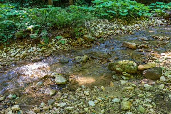 Viaje Largo Del Lecho Río Montaña Día Verano Fondo Poco — Foto de Stock