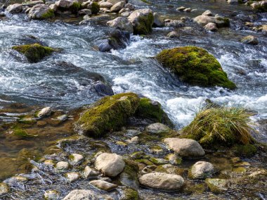 Bir sonbahar günü, bir dağ nehrinin yatağında yolculuk ederken doğa kış uykusuna hazırlanıyor..