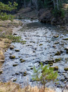 Bir sonbahar günü, bir dağ nehrinin yatağında yolculuk ederken doğa kış uykusuna hazırlanıyor..