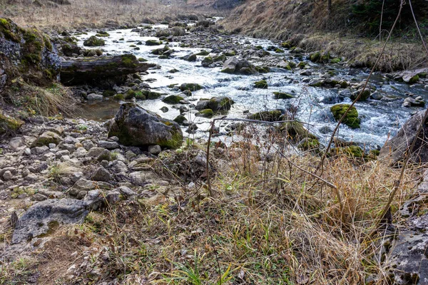 Bepergian Sepanjang Tempat Tidur Sungai Pegunungan Hari Musim Gugur Alam — Stok Foto