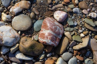 Sonbahar, sabah güneşinin altında, bir dağ nehrinin sığ kumlu dibi, yakın çekim..