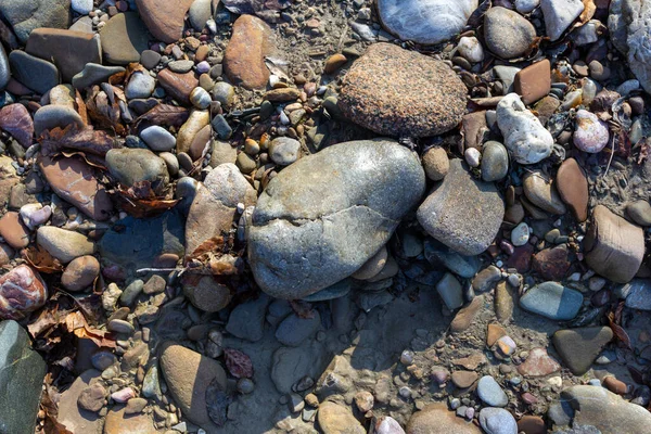 Hösten Den Grunda Sten Sandbotten Bergsflod Solens Strålar Närbild — Stockfoto