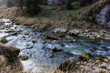 Bir sonbahar günü, bir dağ nehrinin yatağında yolculuk ederken doğa kış uykusuna hazırlanıyor..
