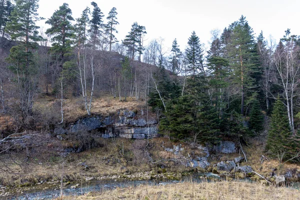 Färdas Längs Sängen Bergsflod Höstdag Naturen Förbereder Sig För Vinterdvala — Stockfoto