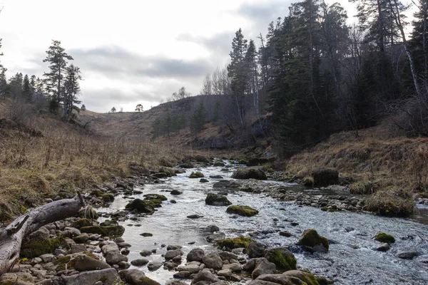 Voyageant Long Lit Une Rivière Montagne Jour Automne Nature Prépare — Photo