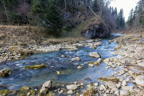 Bir Sonbahar Günü Bir Dağ Nehrinin Yatağında Yolculuk Ederken Doğa — Stok fotoğraf