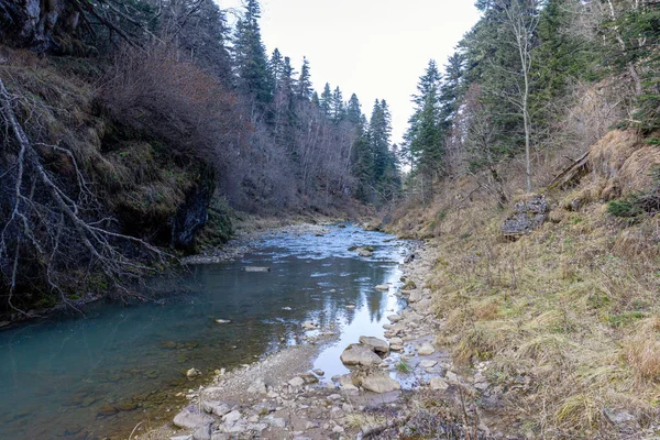 Voyageant Long Lit Une Rivière Montagne Jour Automne Nature Prépare — Photo