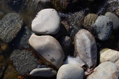 Sonbahar, sabah güneşinin altında, bir dağ nehrinin sığ kumlu dibi, yakın çekim..