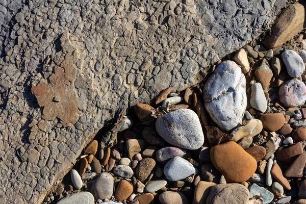 Sonbahar, sabah güneşinin altında, bir dağ nehrinin sığ kumlu dibi, yakın çekim..