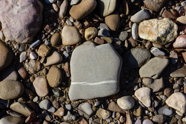 Sonbahar, sabah güneşinin altında, bir dağ nehrinin sığ kumlu dibi, yakın çekim..