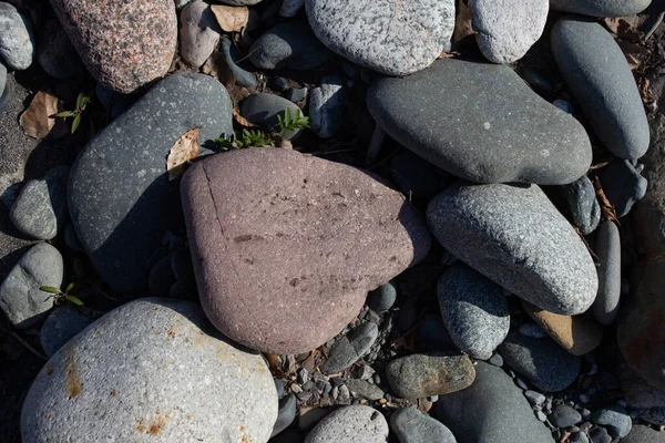 Herfst Ondiepe Stenige Arenaceous Bodem Van Een Berg Rivier Stralen — Stockfoto