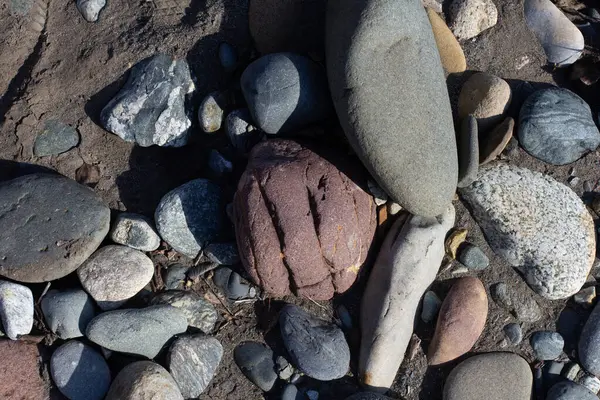 Sonbahar, sabah güneşinin altında, bir dağ nehrinin sığ kumlu dibi, yakın çekim..