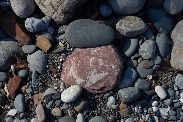 Sonbahar, sabah güneşinin altında, bir dağ nehrinin sığ kumlu dibi, yakın çekim..