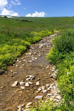 Bir dağ nehrinin yatağında bir yolculuk, bir yaz günü, sığ bir taban ve taşlar güneş ışığında ısınıyor..