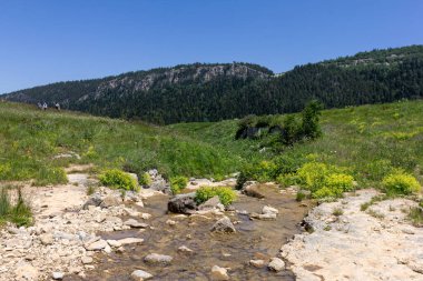 Bir dağ nehrinin yatağında bir yolculuk, bir yaz günü, sığ bir taban ve taşlar güneş ışığında ısınıyor..